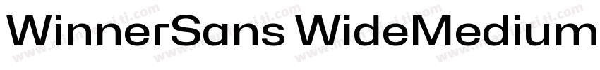 WinnerSans WideMedium字体转换